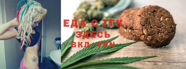 стаф Алзамай