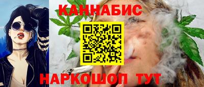 мдпв Ефремов